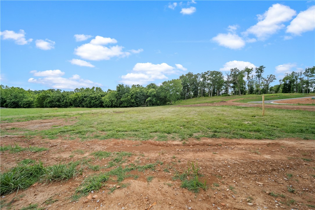 Healing Springs Phase 2 - Land