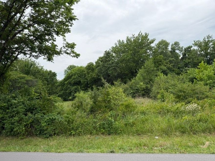 Prime R4-zoned building lot available! Perfect for duplexes or triplexes! Great investment opportunity with flexible multi-family zoning in a growing area. Builder available to build custom duplexes or triplexes for buyers wanting a turnkey investment property or income-producing development. Bring your vision and let us help make it a reality!