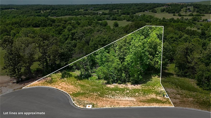 Lot 65 in Blackberry Ridge offers 1.22 acres in a scenic Fayetteville community surrounded by natural beauty. With plenty of space to build, this homesite is a great opportunity to create a home that fits your needs while still being close to everyday conveniences. Blackberry Ridge is located just minutes from I-49, with easy access to shopping, dining, schools, and more. The community also features a neighborhood pool, pavilion, and soft walking trails.