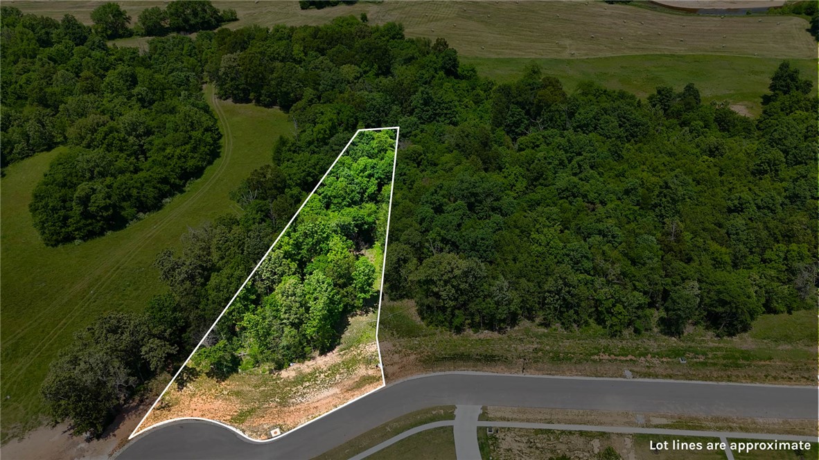 Blackberry Ridge - Land