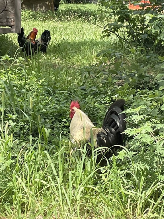 Huckleberry Point - Residential