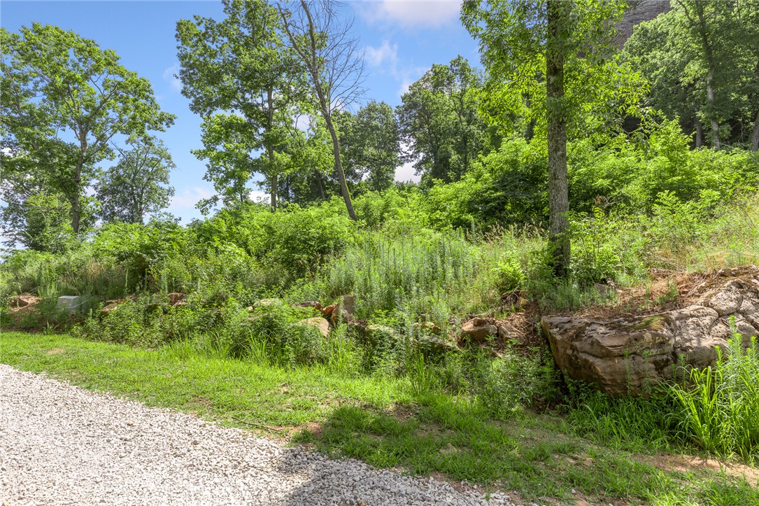 Round Mountain Estates - Land