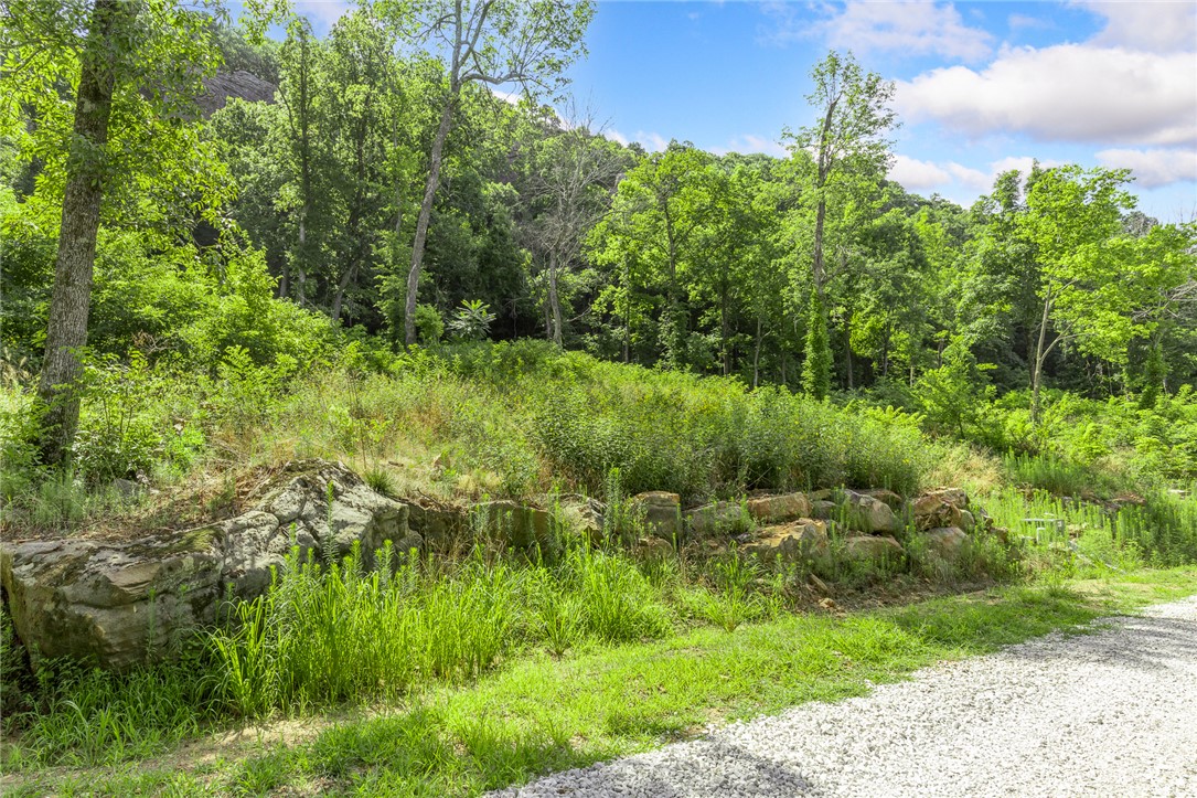 Round Mountain Estates - Land