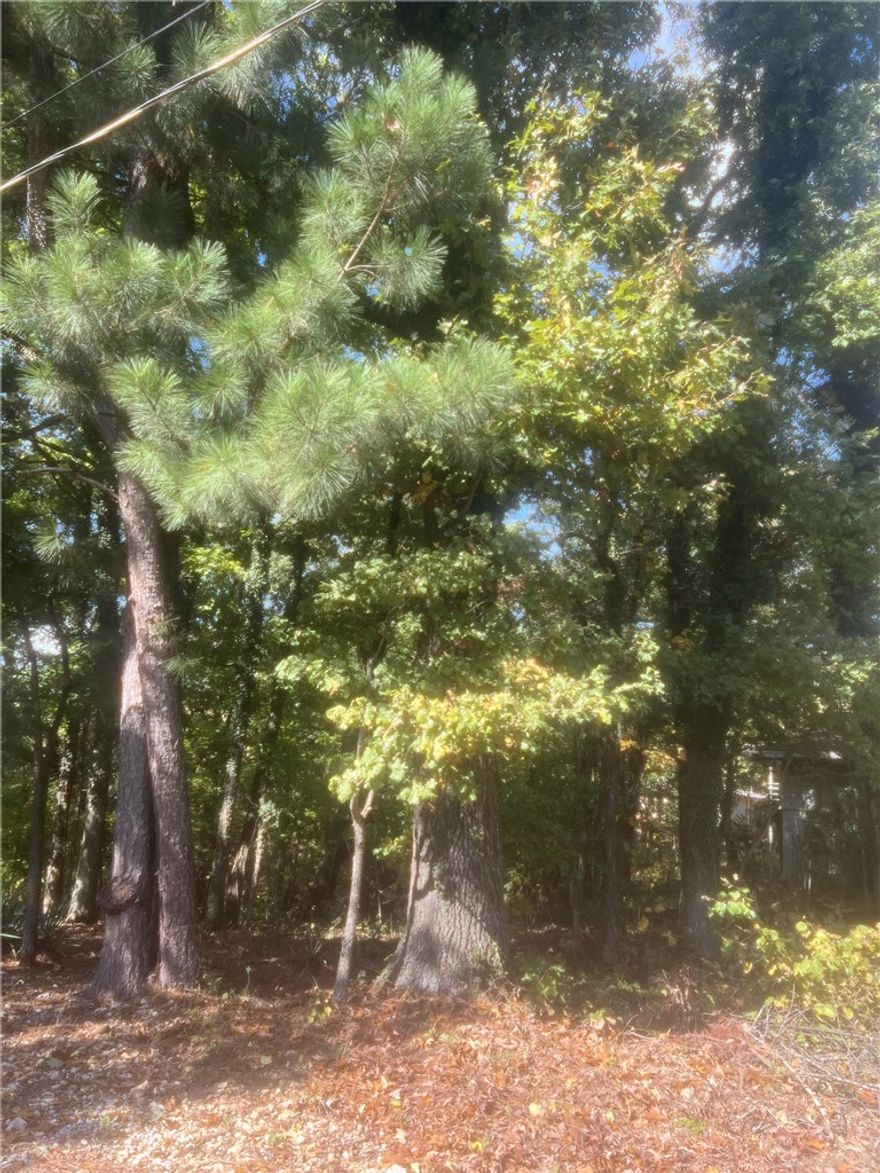 Build your vision on this 0.30-acre lot on Ulverston Dr in East Bella Vista. Featuring a gentle slope with a mix of level ground and mature trees, this property is ready for a custom home or smart investment. Paved road frontage and nearby utilities make it easy to get started.  Enjoy a prime location just minutes from Lake Ann, Back 40 Trails, and Metfield Golf Course, with quick access to I-49, Harps, and local shopping.