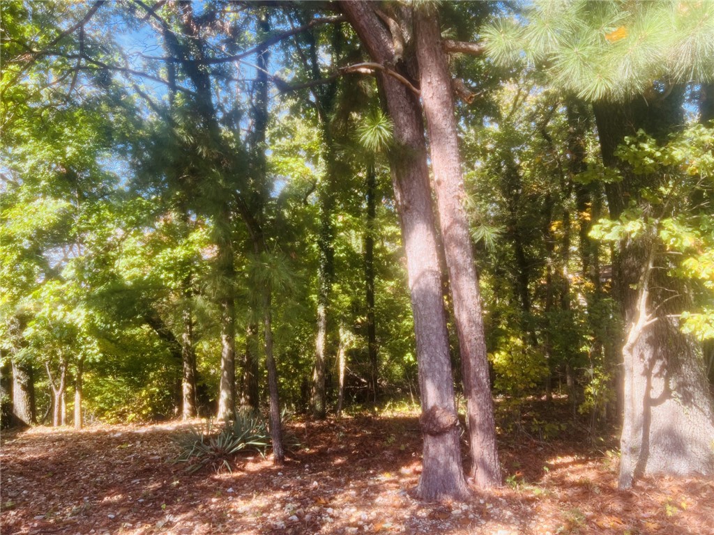 Lancashire Sub Bvv - Land