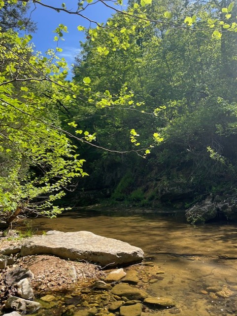 Wilderness Spring Trail.