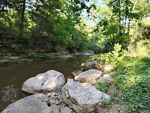 Wilderness Spring Trail.