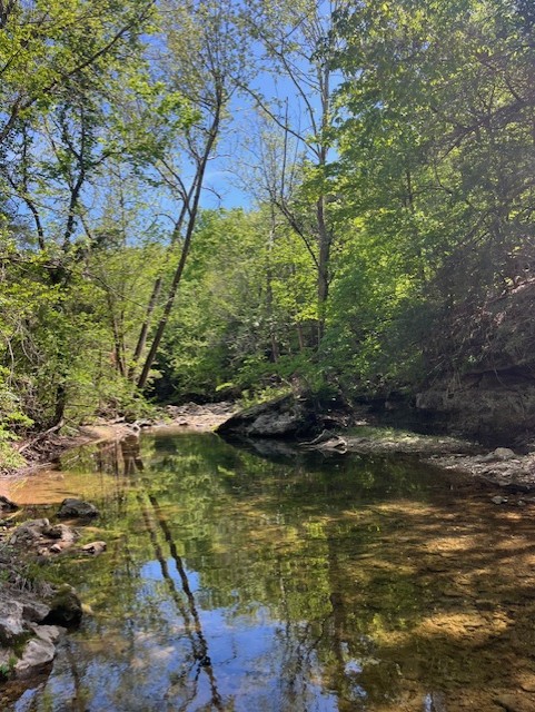 Wilderness Spring Trail.