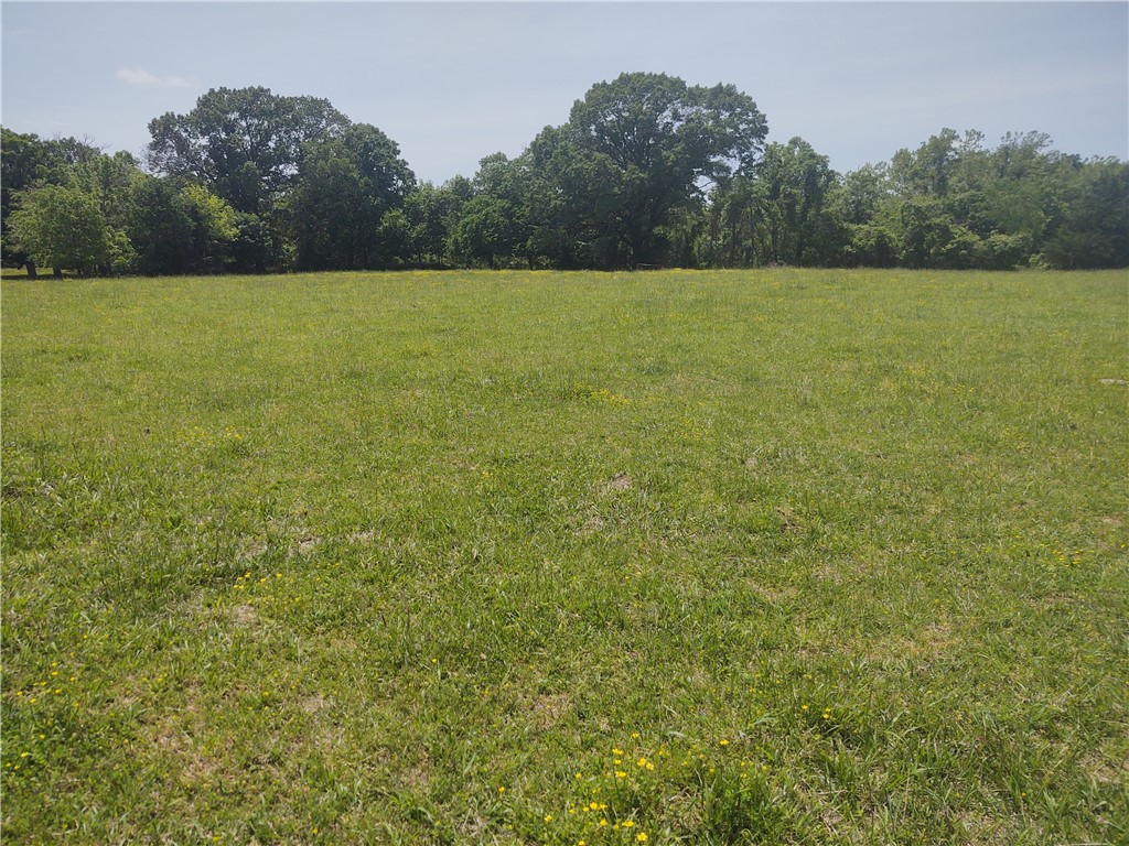Nearly level acreage that is perfect to build on. Pond for your animals or enjoyment, Minutes to Pea Ridge on a private dead end drive. Nearly flat 3.1 +/- acres with great views and tree lined for privacy. Less than 8 minutes to Pea Ridge schools and Walmart. Up to 5 additional acres are available. See MLS # 1245934, 1241456 and 1241088 for additional listings of lots. Room for a horse, chickens or even a steer. Property is in the Pea Ridge School District. Rural water at the start of drive on Twelve Corners Rd. Taxes and exact acreage to be determined after lot split.
