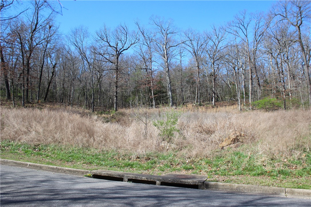 Bridlewood Sub Ph Ii - Land