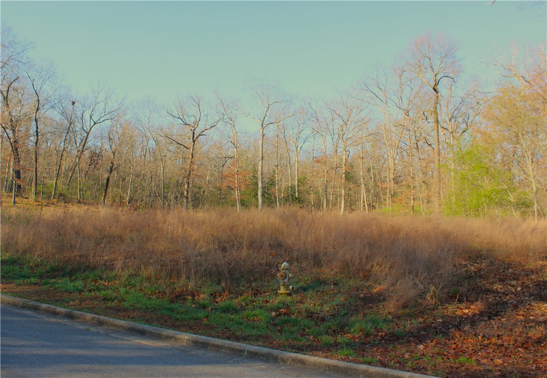 Bridlewood Sub Ph Ii - Land