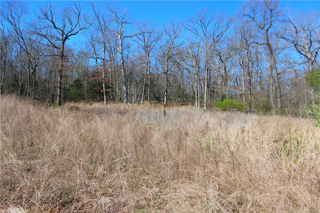 Bridlewood Sub Ph Ii - Land