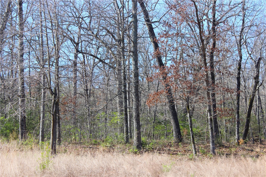 Bridlewood Sub Ph Ii - Land