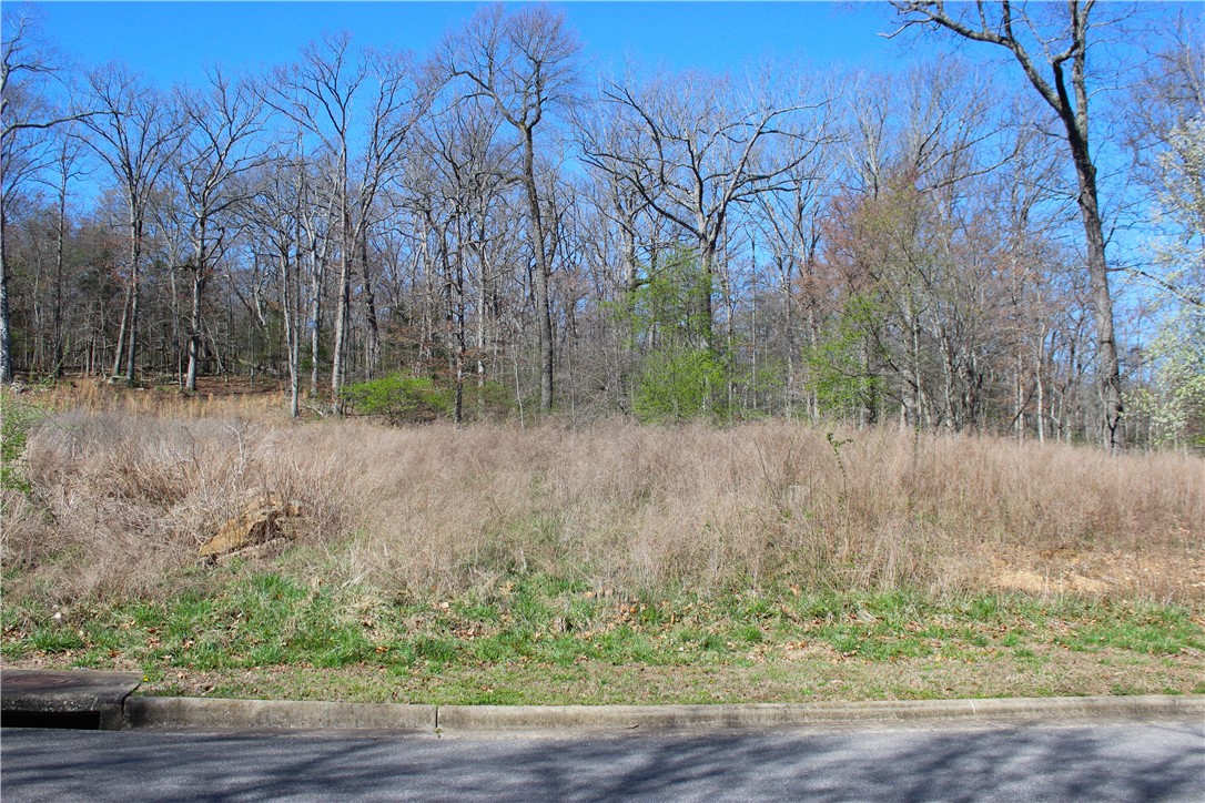 Bridlewood Sub Ph Ii - Land