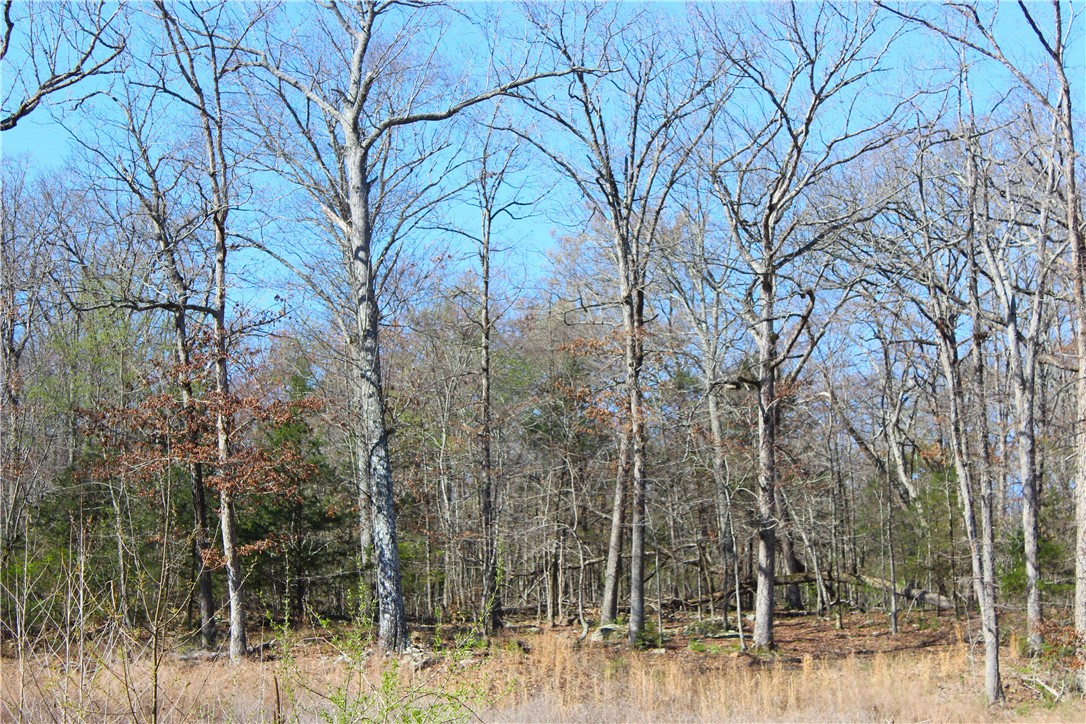 Bridlewood Sub Ph Ii - Land