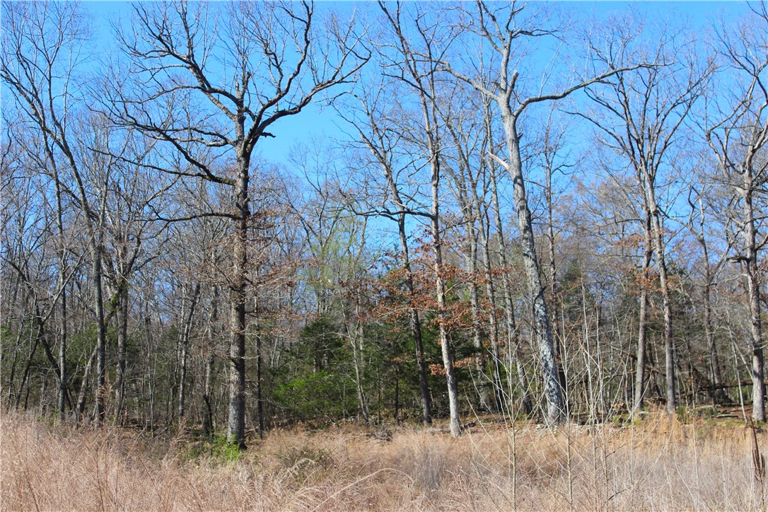 Bridlewood Sub Ph Ii - Land