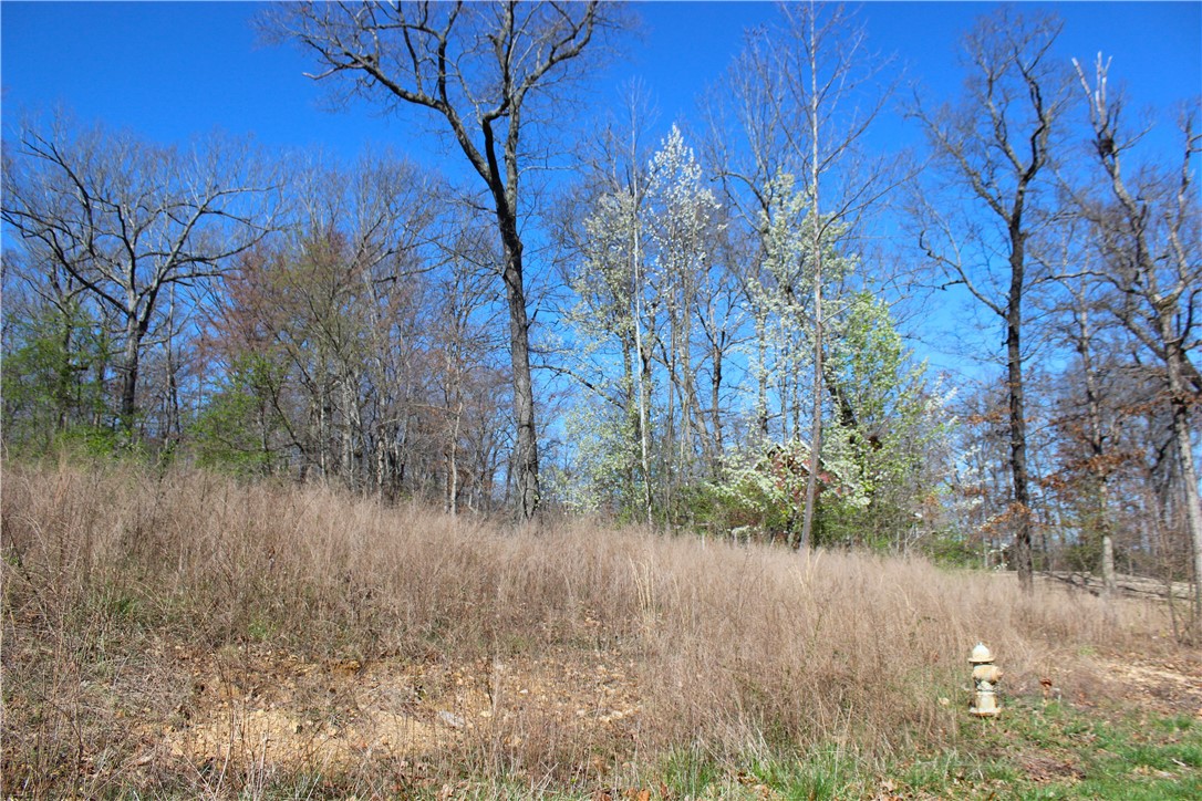 Bridlewood Sub Ph Ii - Land