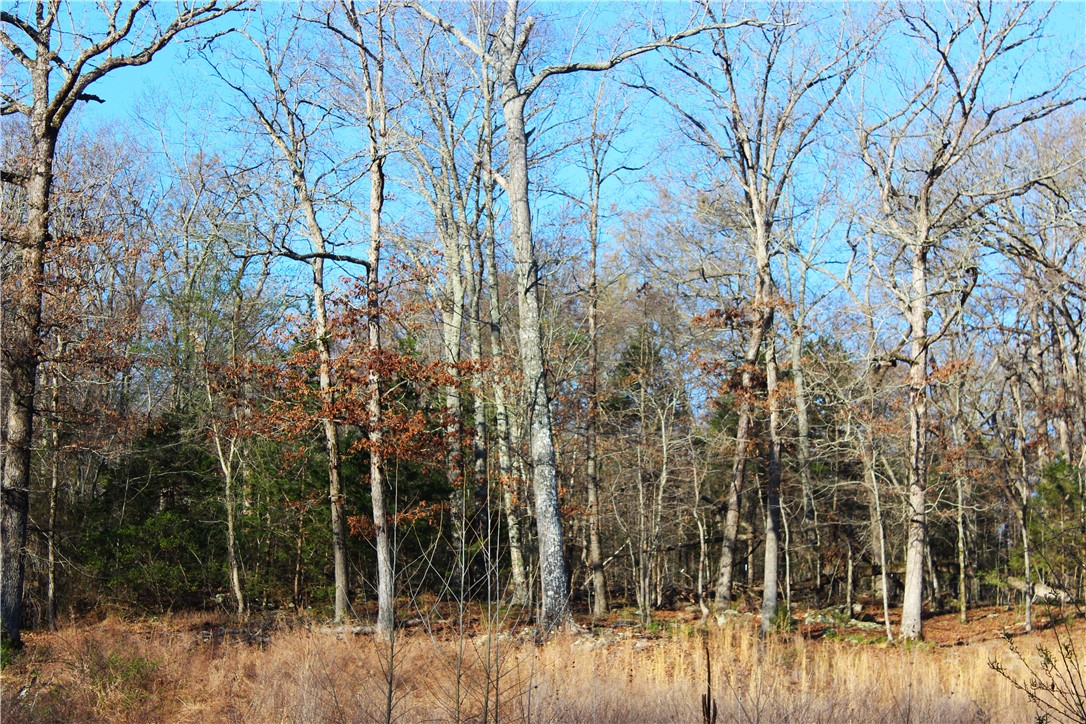 Bridlewood Sub Ph Ii - Land