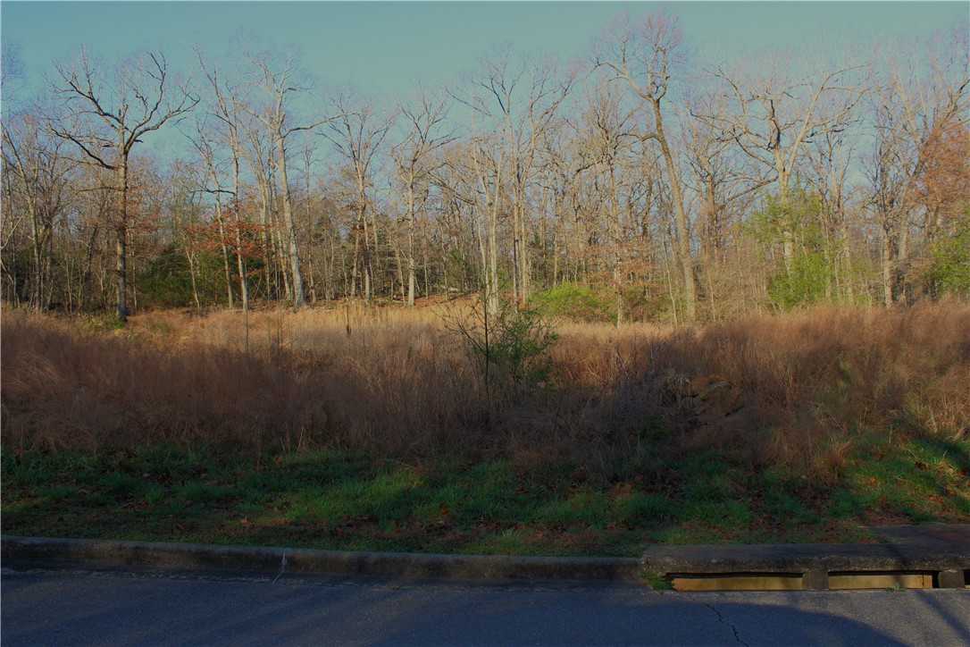 Bridlewood Sub Ph Ii - Land