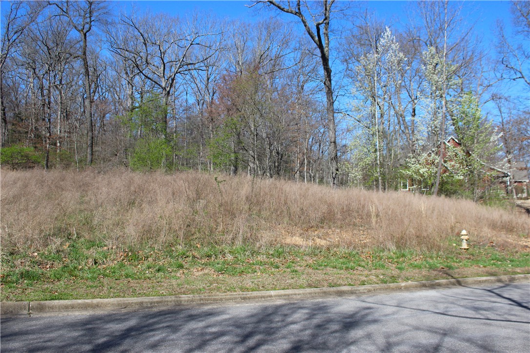 Bridlewood Sub Ph Ii - Land