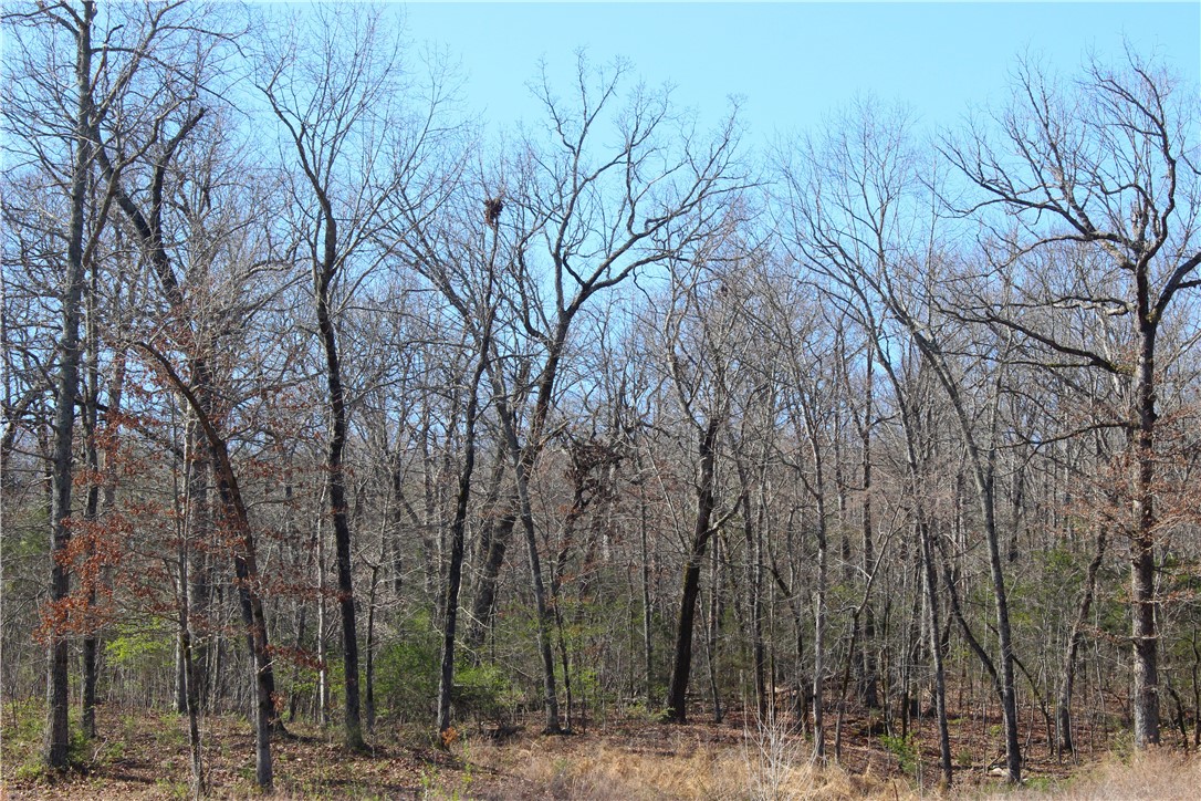 Bridlewood Sub Ph Ii - Land