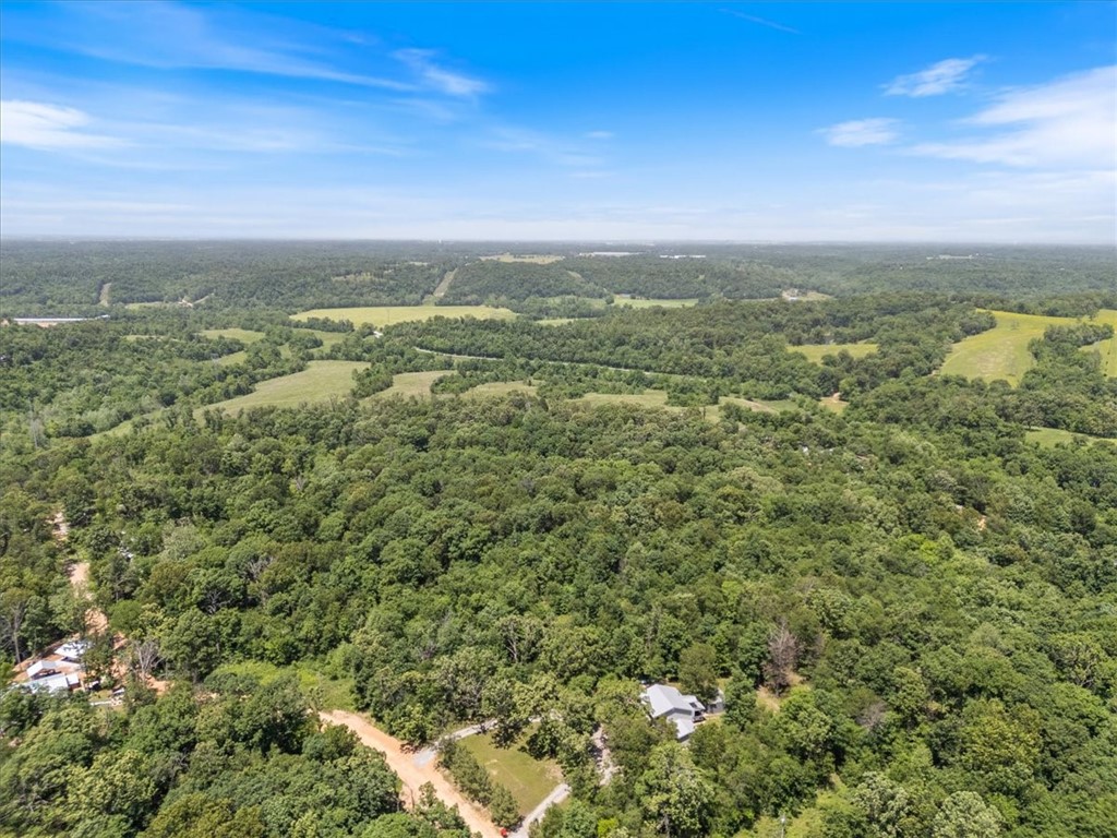 If you're seeking a private and secluded spot to build your dream home, look no further! This beautiful 7.32-acre wooded lot in Decatur offers the perfect blend of peace and convenience, with public electricity and water available at the street. Come explore the possibilities!