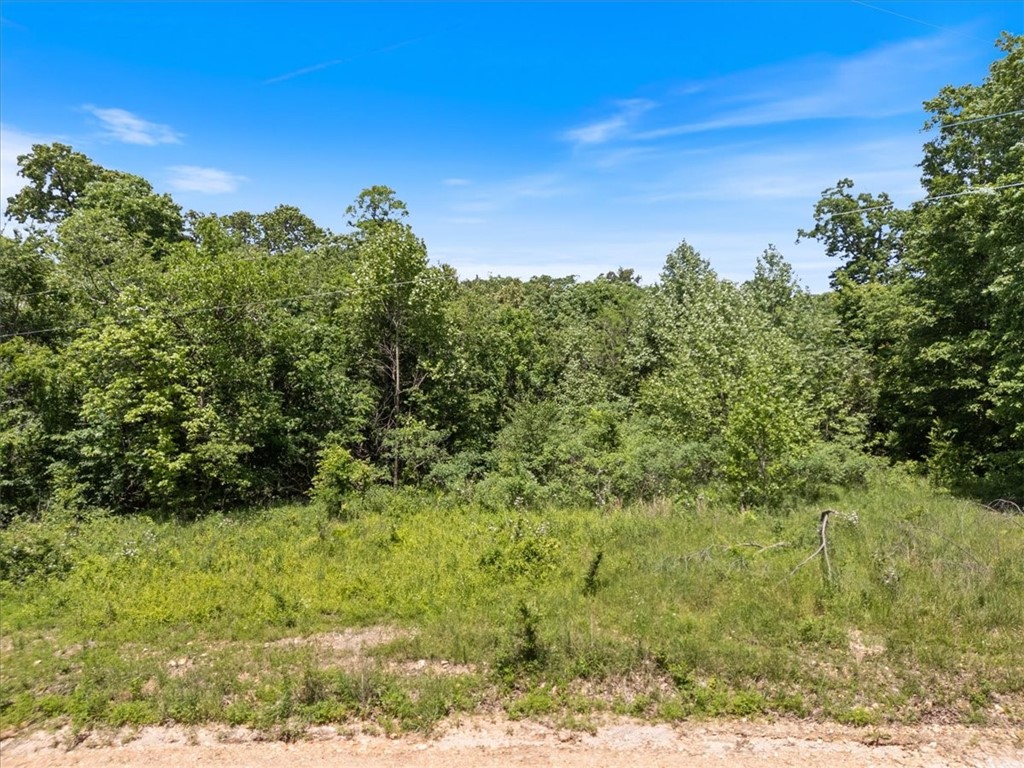 33-20-33-RURAL - Land