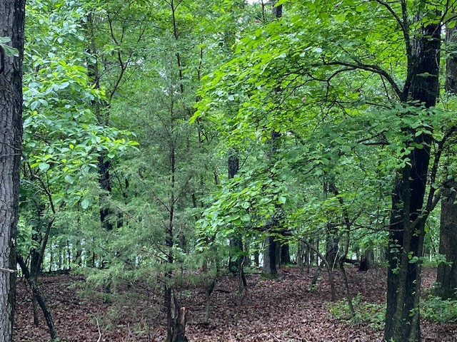 Woodstone Sub - Land