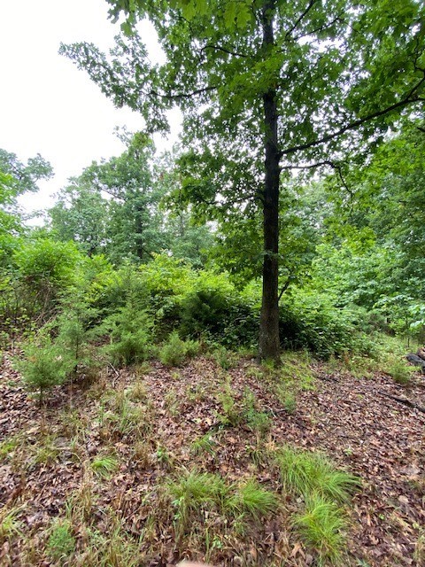 Woodstone Sub - Land