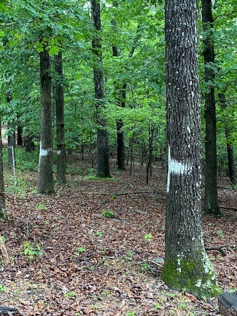 Woodstone Sub - Land