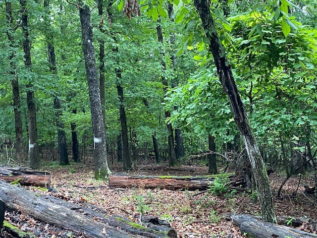 Woodstone Sub - Land