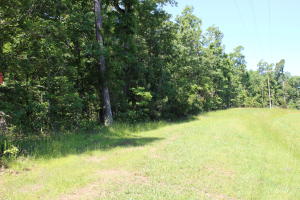 8.5 acres with access from county road or paved hwy. Only 8 miles to town and the Crooked Creek for fishing, boating, and swimming. No restrictions and power available. Additional acreage available.