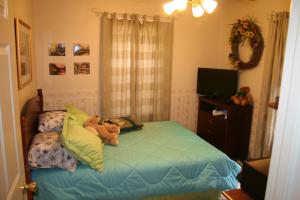 Spring Creek Estates - Residential