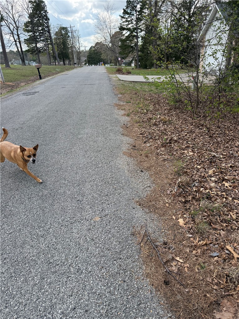 Unit 9 Holiday Island - Land