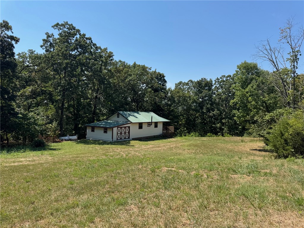 TBD Bug Scuffle Road