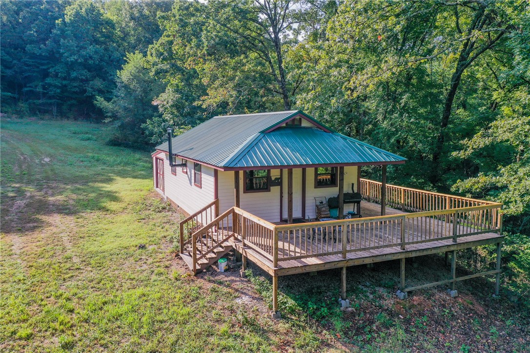 TBD Bug Scuffle Road