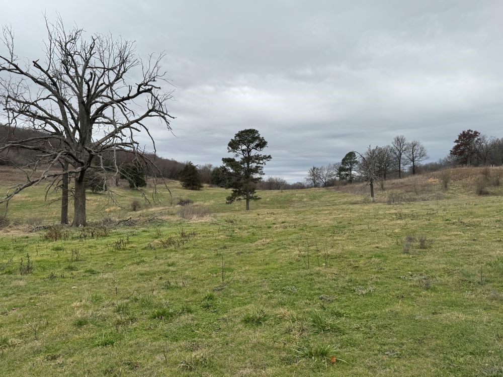10 Acres! Part of 110 Acres that can be split in multiple ways for bigger tracts. Lots of county road frontage. Property on both sides of the road. Beautiful home building sites. Well & Septic needed. Beautiful views. Some pasture, some woods. 15 minutes from Harp's parking lot in Lincoln. Subject to split approvals. Soil test has been done. Agent owned. See also MLS 1322634-1322638