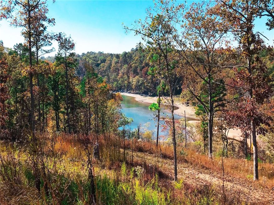 215+/- Acres of Ozark Mountain recreational property. Nearly 1 mile of waterfront surrounding Ventris Cove on beautiful Beaver Lake. Easy access to entire property through network of established roads and trails. So many options for lake front and lake view home sites! Multiple access points to walk/drive to the water. Some core lines are in the water.  Paved road access with less than 30 minutes to Rogers and Bentonville Arkansas.  Scenic views, abundant wildlife, hunter's paradise, so many tranquil settings. Wet weather creek exposing ancient, erosion layers of limestone strata. Historic evidence of early settlement stone well and small foundation of home structure.  Rolling hills, bluffs, grassy nulls, gently sloping beautiful scenery as far as you can see. With only 3 miles to the public launch, recreational fun on the water is just few minutes away. This is a rare opportunity to own such a large parcel of Ozark splendor on Beautiful Beaver Lake.