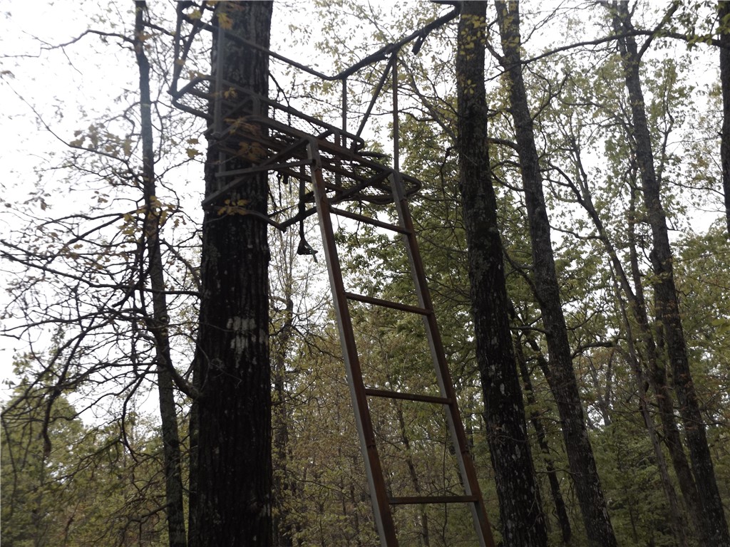 5 wooded lots connected in Oak Knoll Subdivision. City water maybe possible! Electric to property.