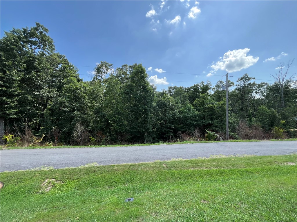 Sewer Lot! .31 acres on paved circle drive road (low traffic), Desirable area with newly built homes, Quick access, .6 miles onto Hwy 71, Mountain bike trail 1.8 miles, short distance 1.5 miles to Walmart Supercenter and Town Center / Harps grocery store, Lake Norwood / Lake Ann nearby, Bella Vista Country Club and Tanner Creek Driving Range 1.5 miles away, Bentonville School District, Enjoy Amenities of Bella Vista POA Lot monthly fee $16 - allows access to (7) Lakes, (6) Golf Courses, (2) Outdoors Swimming Pools, (1) Indoors Swimming Pool, (3) Workout Centers, Tennis Courts, Pickleball Courts, Disc Golf, Gun Range, Golf Driving Range, Walking Trails, 100 Miles of Mountain Biking Trails, (1) Sandy Beach, Pro Golf Shops, Fishing Docks, and much more.