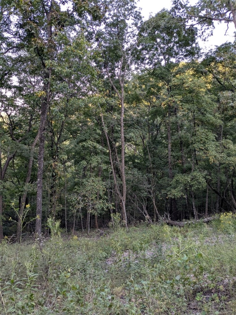 Unit 11 Holiday Island - Land