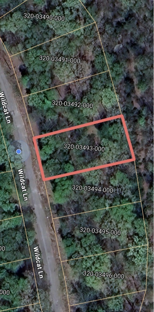 Unit 11 Holiday Island - Land