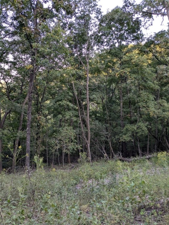 Unit 11 Holiday Island - Land