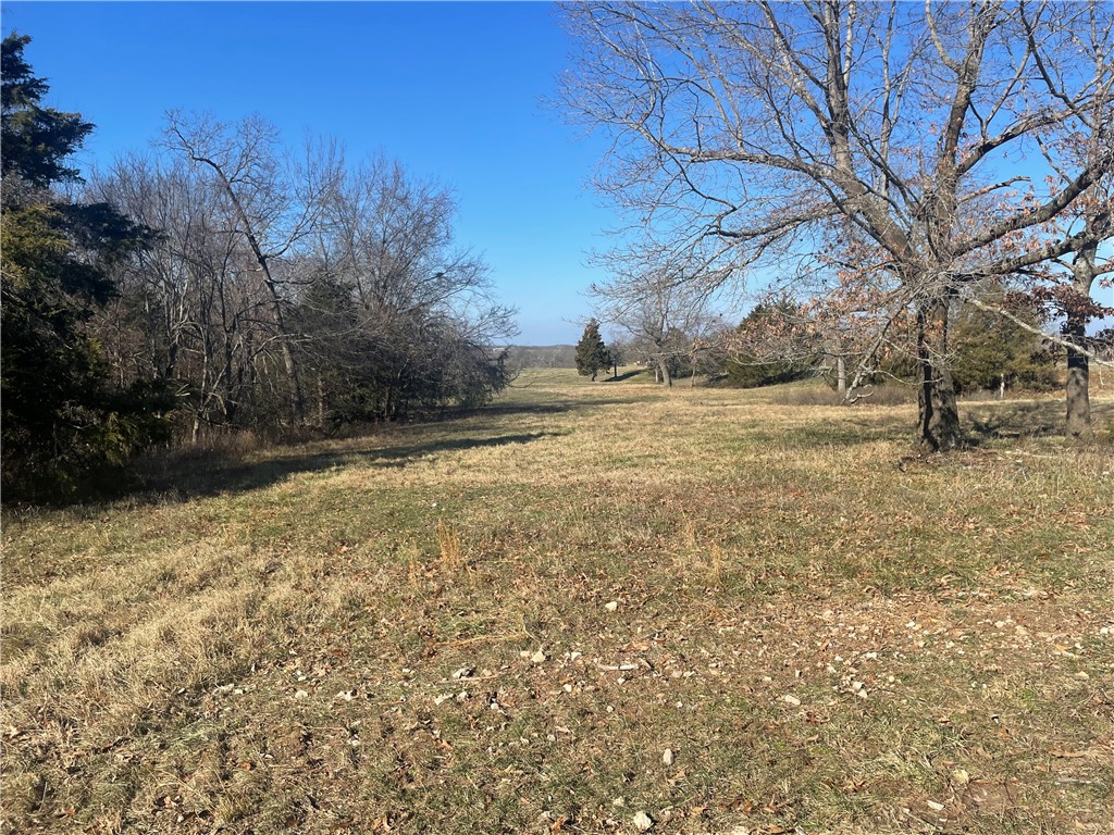 Don't miss this prime tract of land ready for your new home build! Mostly open, all useable 16.9 acres provides a country feel with room to breathe. Great access with county road frontage and short distance to pavement. Rural water, electric, fiber at road. Quick access to Hwy 412 and nearby amenities, 25 minutes to Fayetteville/Springdale. This scenic property combines an ideal out of town setting with convenience to necessities. Call for an appointment to take a look today! Utility availability is the responsibility of the buyer or buyers agent.