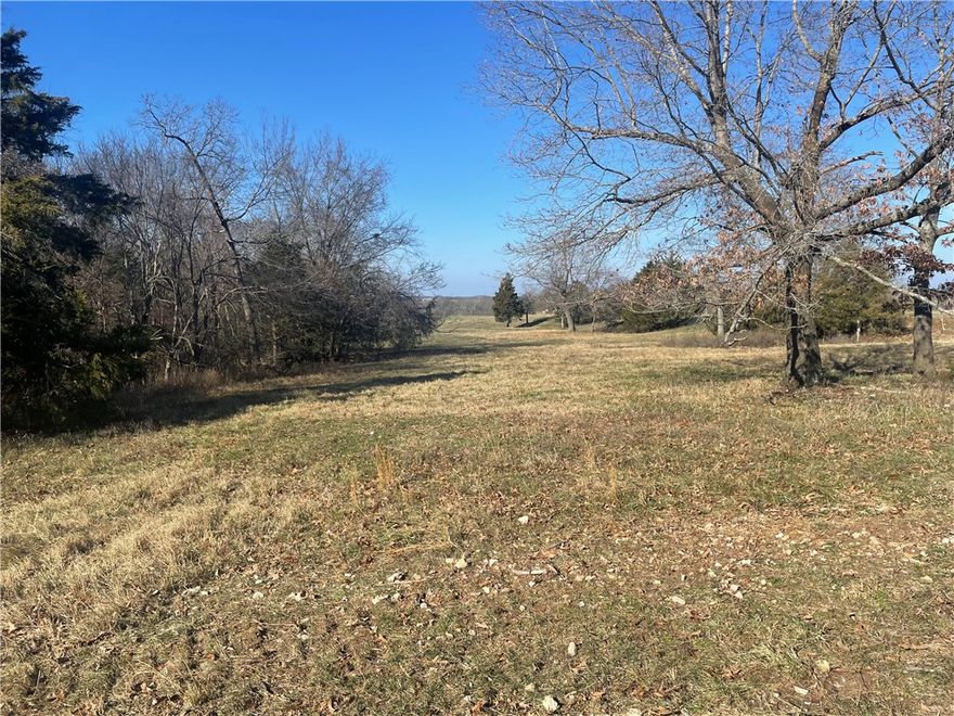 Don't miss this prime tract of land ready for your new home build! Mostly open, all useable 16.9 acres provides a country feel with room to breathe. Great access with county road frontage and short distance to pavement. Rural water, electric, fiber at road. Quick access to Hwy 412 and nearby amenities, 25 minutes to Fayetteville/Springdale. This scenic property combines an ideal out of town setting with convenience to necessities. Call for an appointment to take a look today! Utility availability is the responsibility of the buyer or buyers agent.