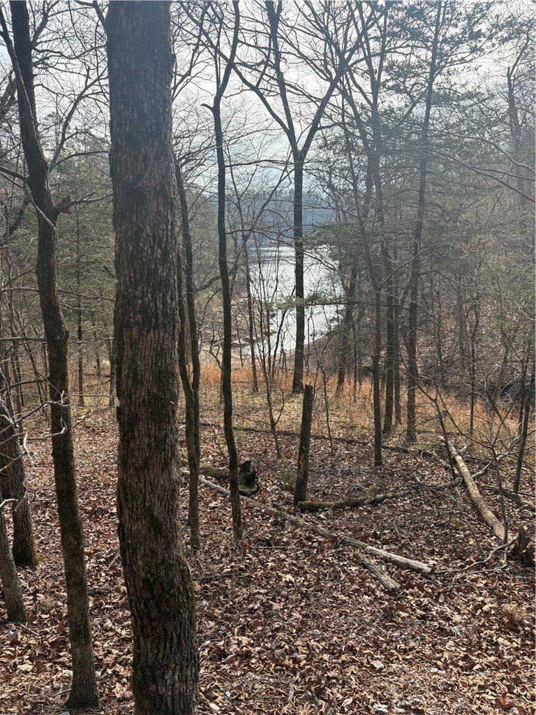 Lakeside Drive