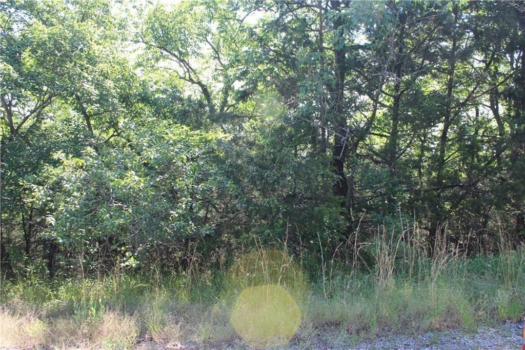 Unit 115 Holiday Island - Land