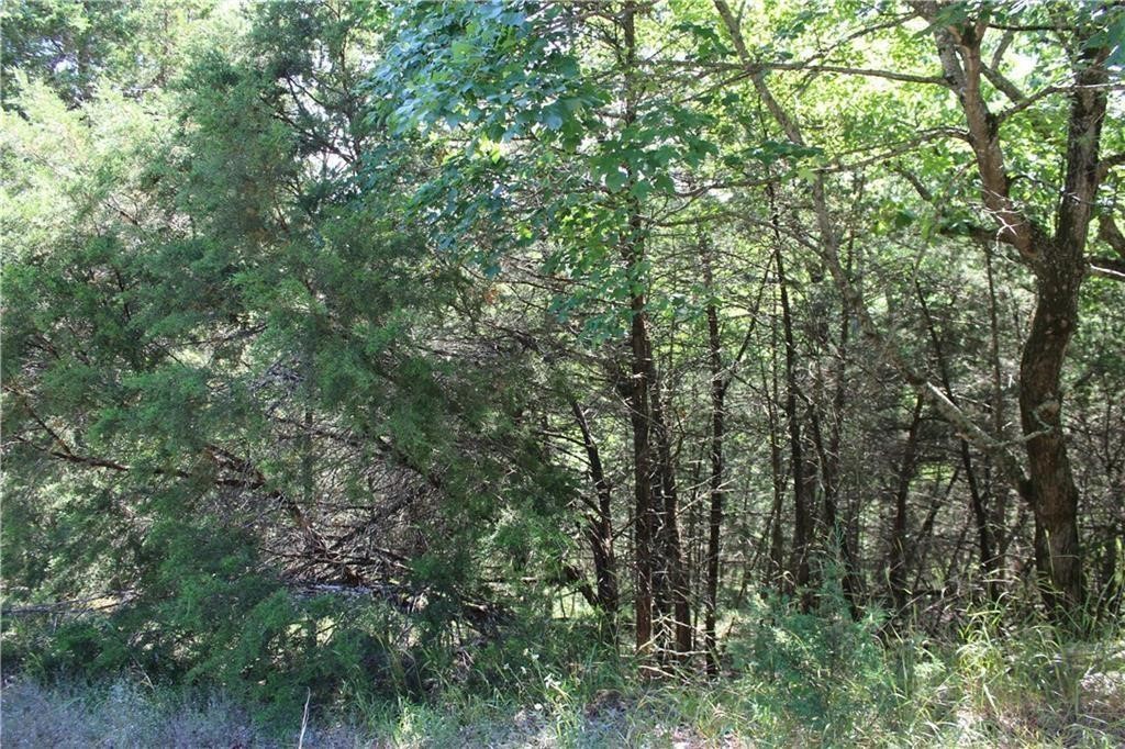 Unit 115 Holiday Island - Land