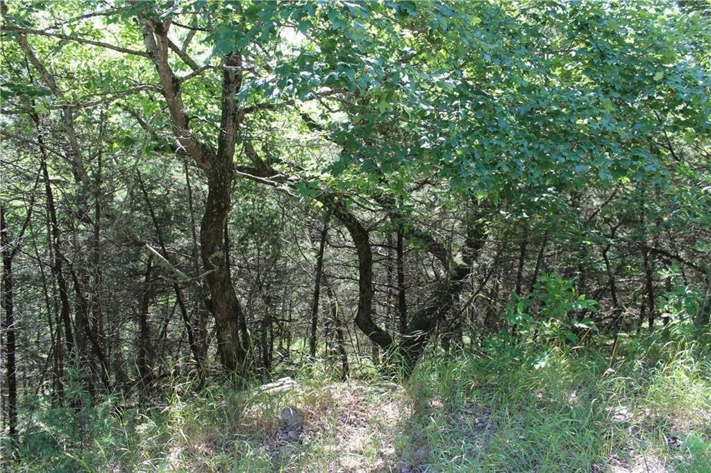 Unit 115 Holiday Island - Land