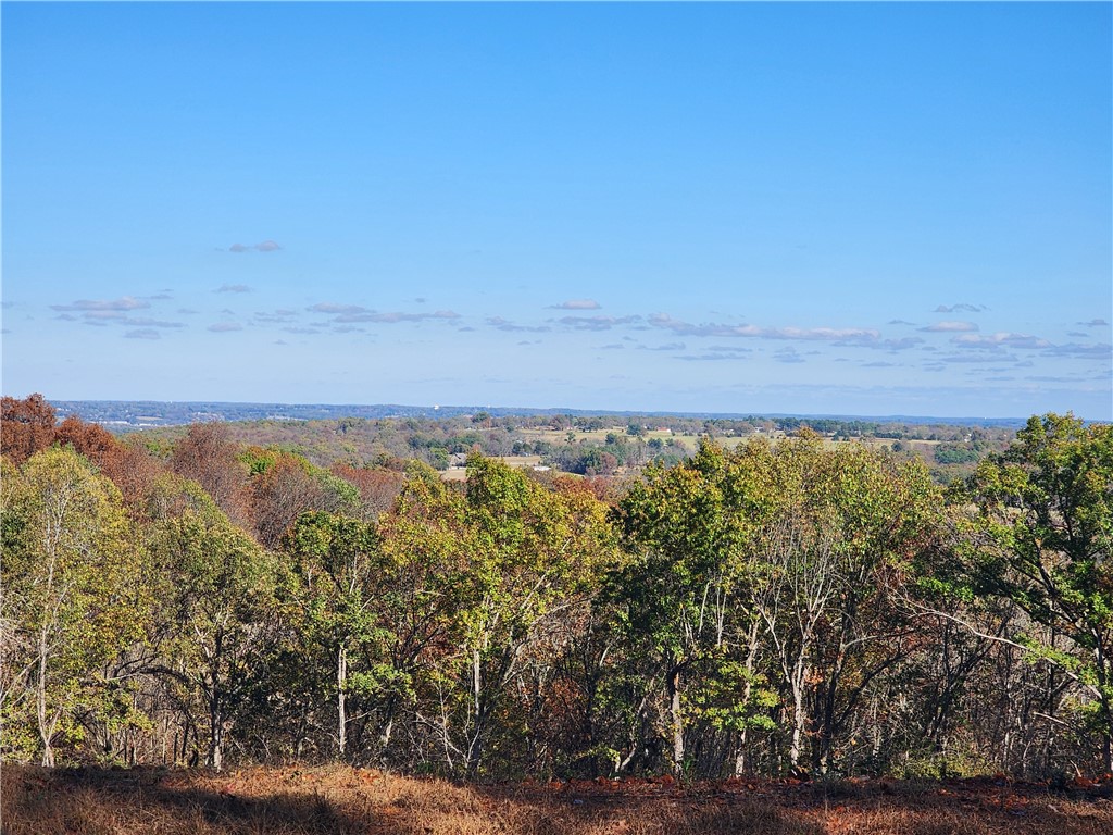 If you're looking for an "end of the road seclusion" building lot with a looong distance view, this is it!! Located in the Gaither Mtn Estates where there is only one other home built with no remaining lots available besides these 3. These lots come altogether to give you 7.16 acres. A lot of the work has already been done: The driveway was developed using extra deep base and topped with white rock with culverts added where needed, the outstanding view has been cleared along with enough acreage to keep the view clear, a quality poured 18x30 pad with water stubs, a brand new "Legacy" brand 18x30 metal building with (2) 12x12 roll up doors and (1) man door on it's own slab, and buried underground electric to the property. A wet weather creek runs beside the property and you can hear it from the building site. 20 minute drive to the Buffalo National River with all the great hiking trails, elk watching and river fun and only 10 minutes to Harrison for all the shopping needs.